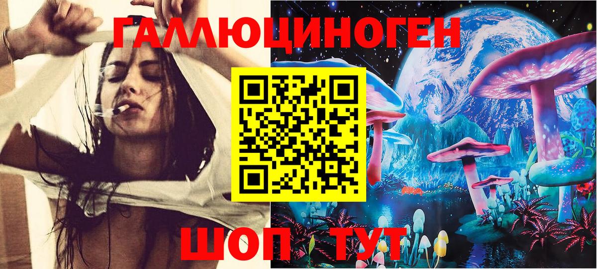 Псилоцибиновые грибы MAGIC MUSHROOMS  Буйнакск  Псилоцибиновые грибы Cubensis 