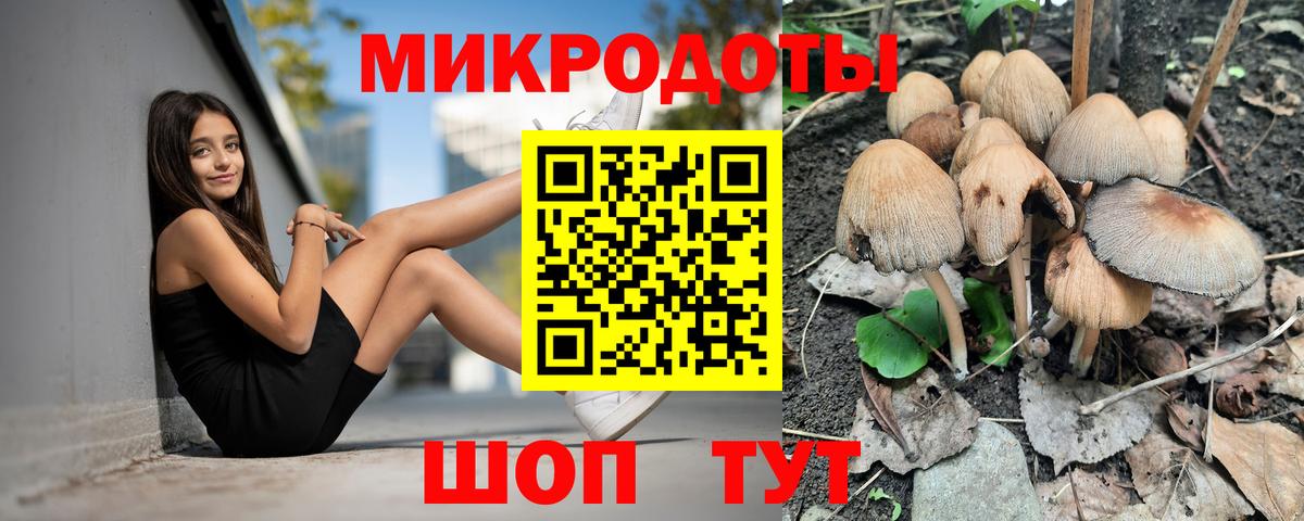 Галлюциногенные грибы MAGIC MUSHROOMS Буйнакск