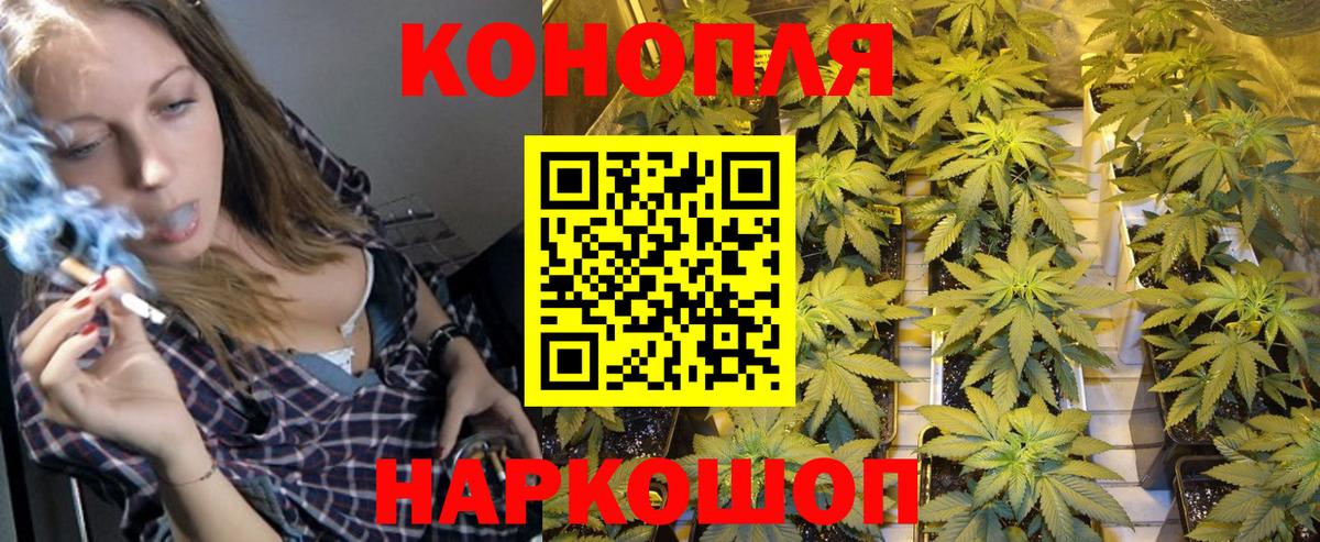 Каннабис семена Буйнакск